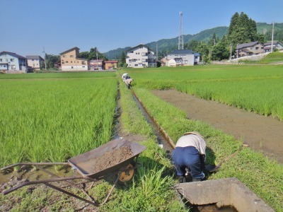 多面的事業やってま~す_c0336902_20062993.jpg