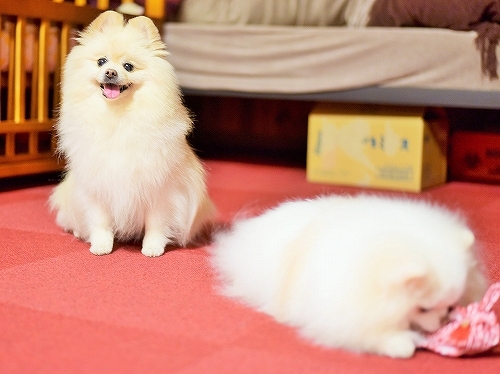 勝ち負け_d0360206_00320312.jpg