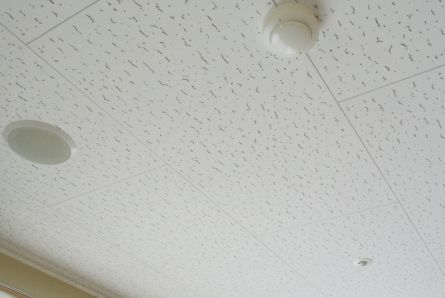 b0017215_09390051.jpg