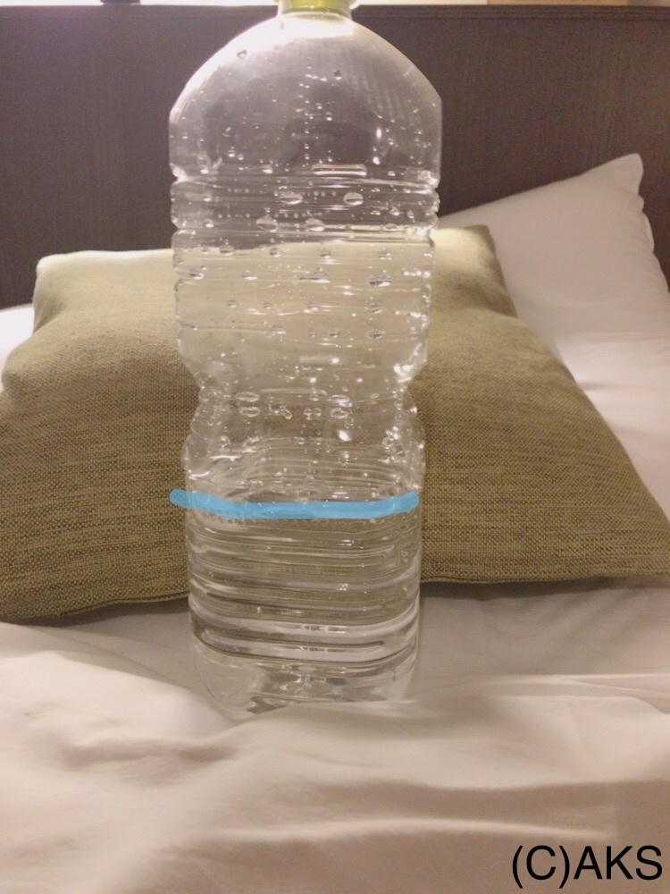 f0358815_21325977.jpeg