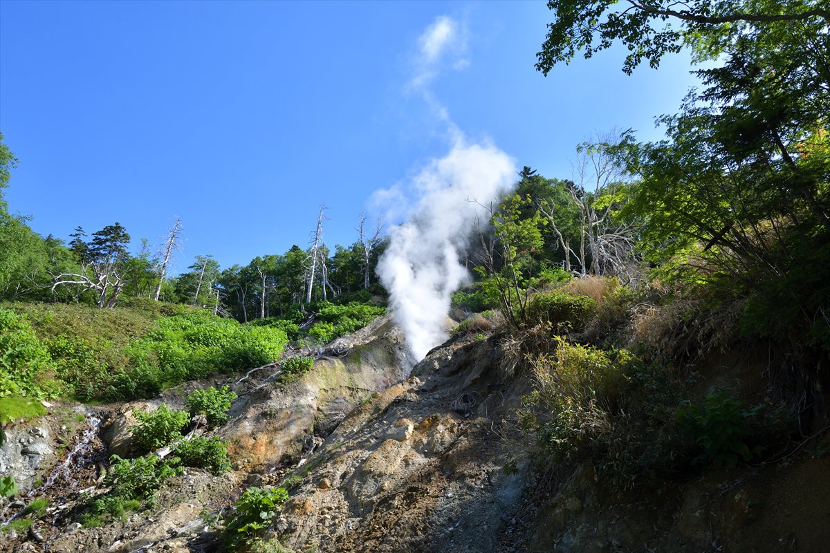 三笠新道から高根ヶ原へ！　2017.7.9_a0145819_20404679.jpg