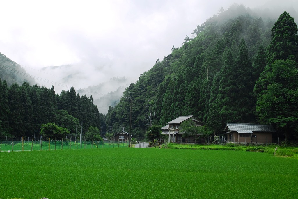 朝の風景・山霧で小雨の朝　　朽木小川・気象台より_c0044819_751290.jpg