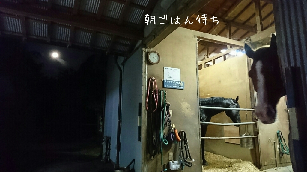 b0187620_20203143.jpg