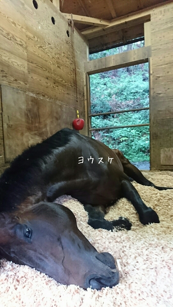 b0187620_20204928.jpg