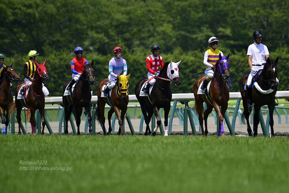 2017.7.9 福島競馬場☆新馬戦☆パスポート【Thoroughbred】_f0250322_22552695.jpg