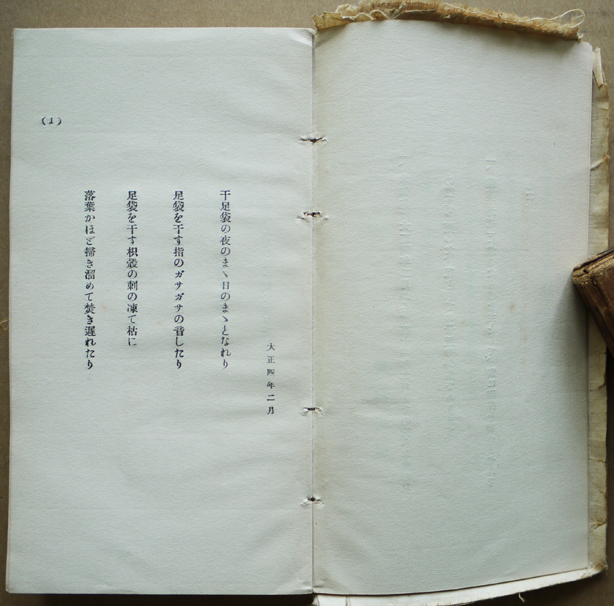 碧梧桐句集八年間 河東碧梧桐 初版 箱 玄同社 大正12年 : 古書