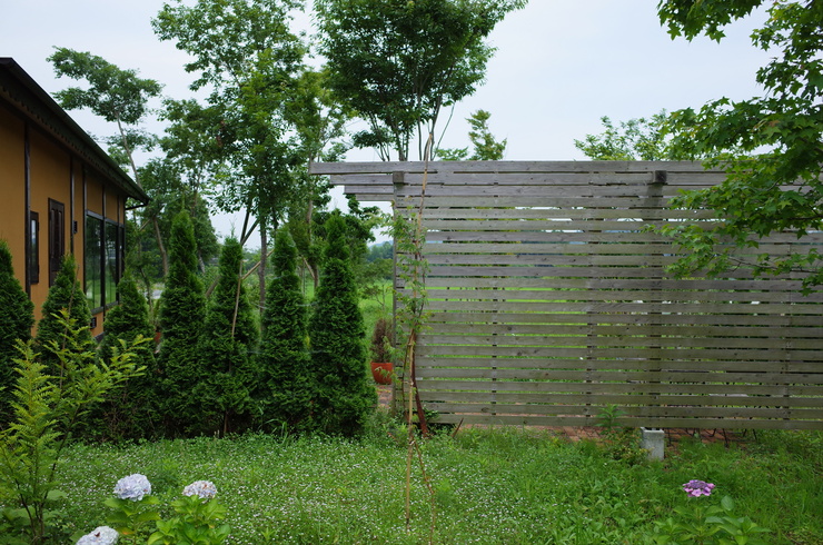 a0287336_2042030.jpg