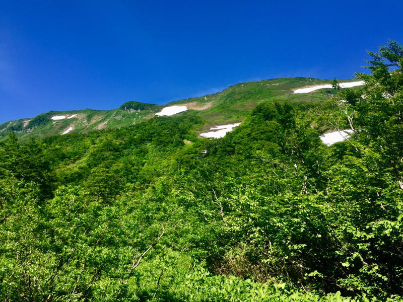 久しぶりの山遊び2_c0225536_06405697.jpg