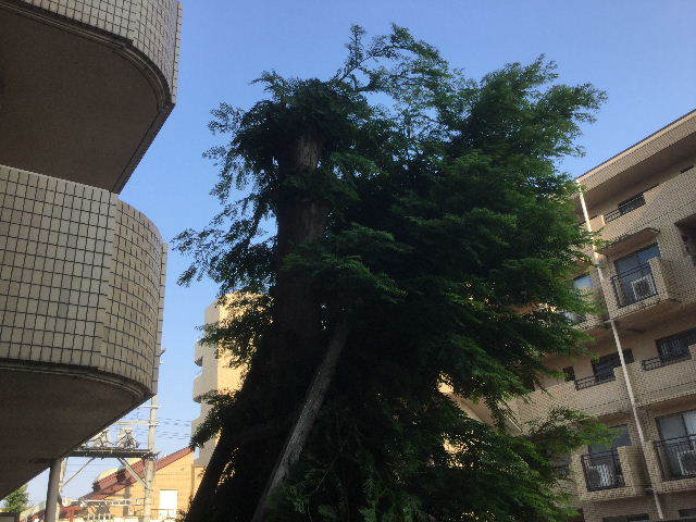 f0031037_21541934.jpg