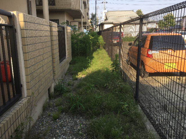 f0031037_22040540.jpg