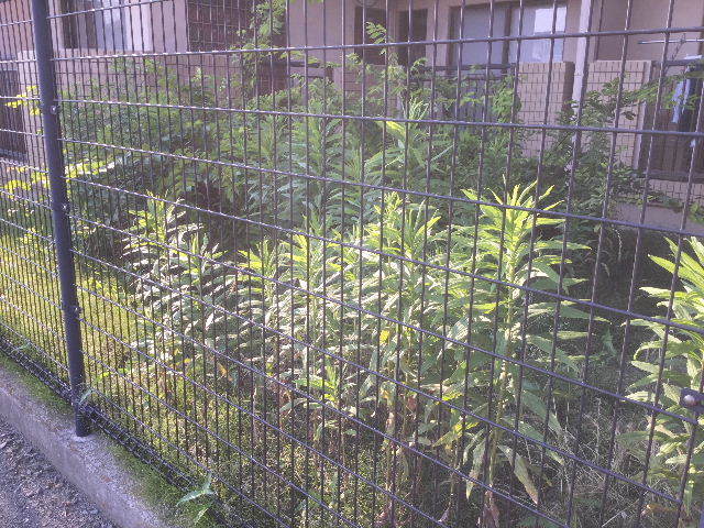 f0031037_22040582.jpg