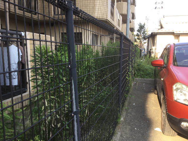 f0031037_22040597.jpg
