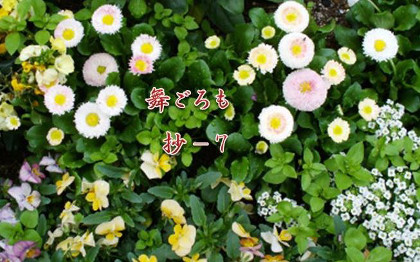 かな作品帖『与謝野晶子の歌』（歌集「さくら草」「舞ごろも」より） かな作品帖『与謝野晶子の歌』（歌集「さくら草」「舞ごろも」より）