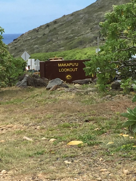 c0223646_01041010.jpg