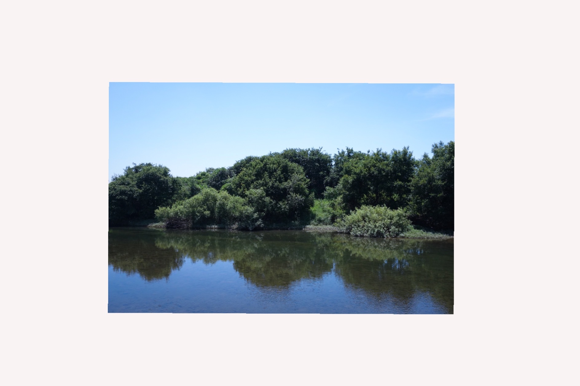 夏の道_d0101846_09102156.png