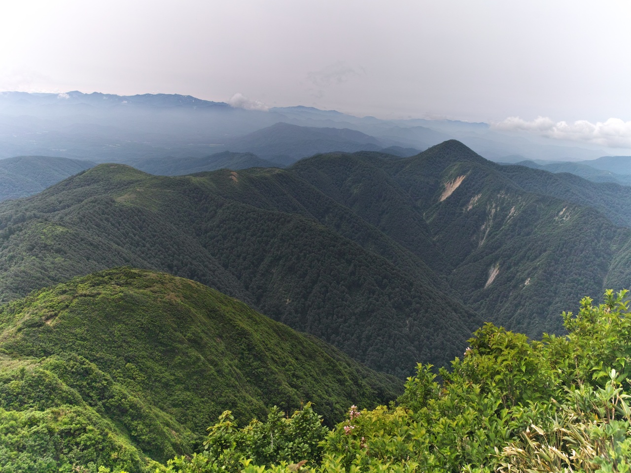 c0008948_12302160.jpg