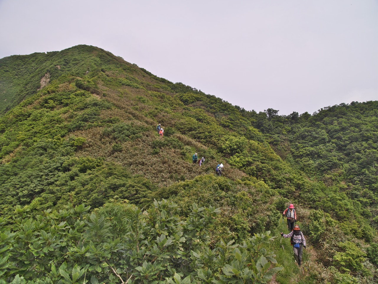 仙北平野を俯瞰しながら真昼岳を歩く：２_c0008948_125479.jpg