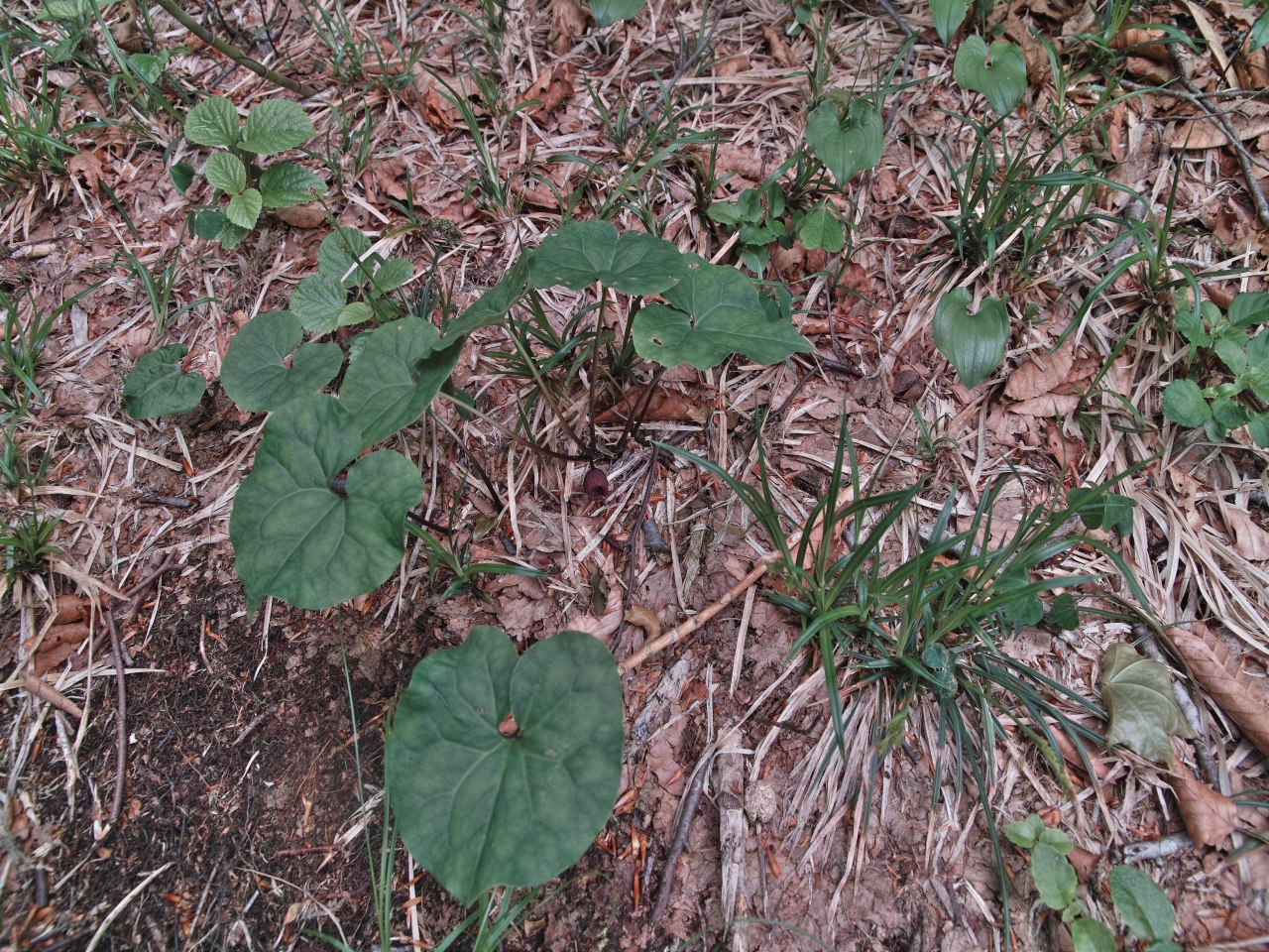 c0008948_1352995.jpg