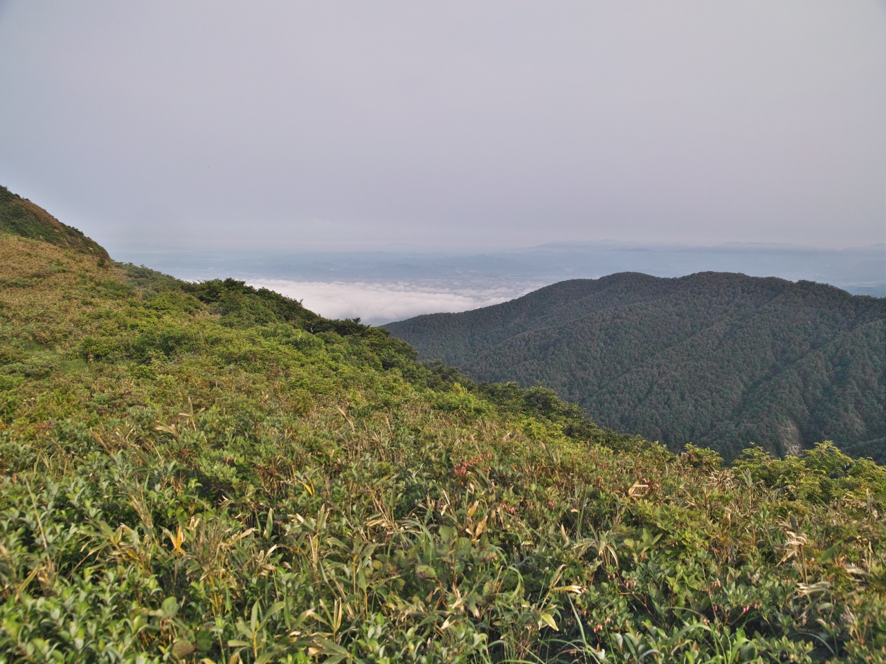 c0008948_805558.jpg