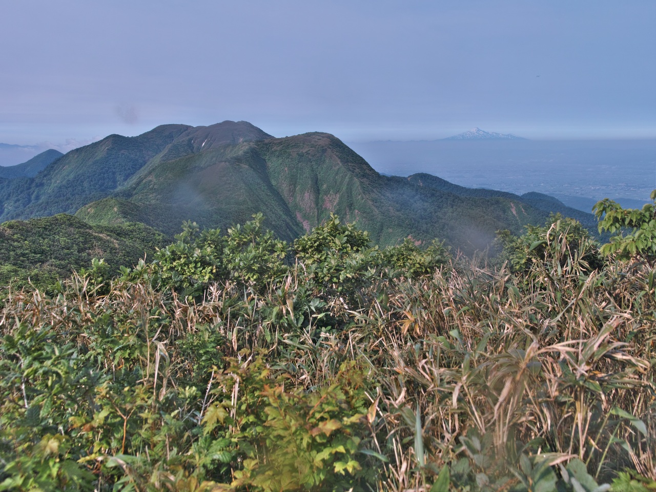 c0008948_8572735.jpg
