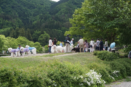 a0201257_16573121.jpg