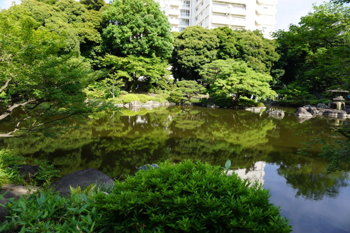 旧古河庭園の春のバラフェスティバル　庭園の中をぶらり～　2_d0152261_10102029.jpg