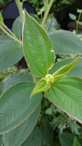 f0256164_13294501.jpg