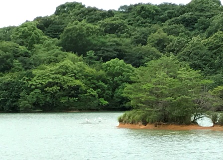 b0214473_1649138.jpg