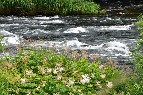 北海道・札幌からニセコへ４_b0067694_01065057.jpg