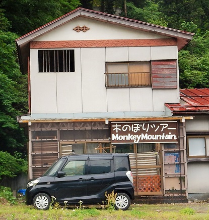 木に登りたいですか?_e0077899_11111115.jpg