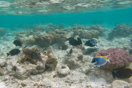 e0338303_11104545.jpg