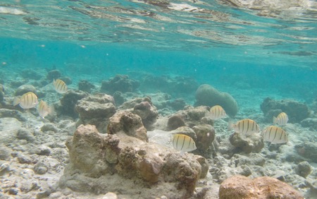 e0338303_11105164.jpg