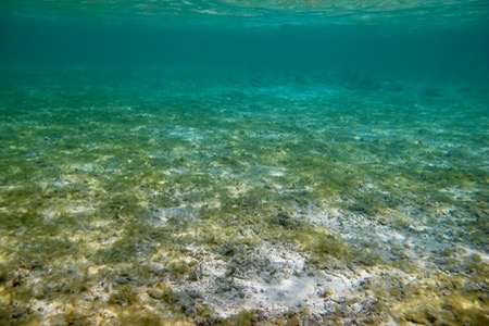 e0338303_118561.jpg