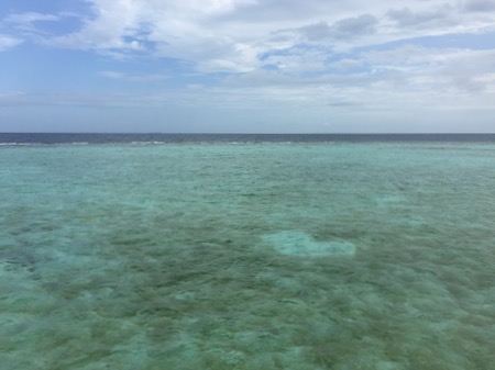 e0338303_1191069.jpg