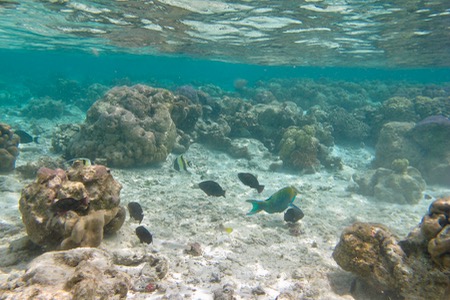 e0338303_1195360.jpg