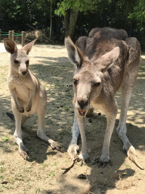 最近のお気に入り…!_c0290504_13500606.jpg