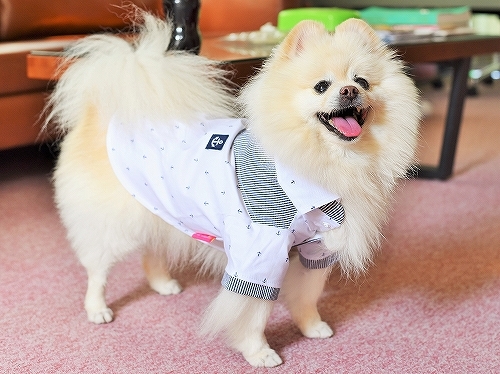 今、必要なもの_d0360206_23013774.jpg