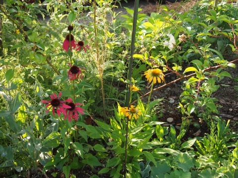 c0117007_20324155.jpg