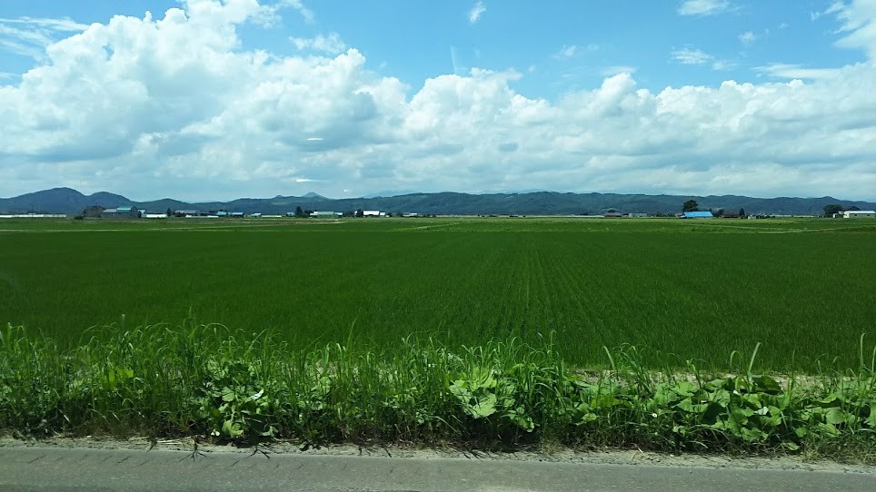 北海道旅行2日目午後_a0009809_21393393.jpg