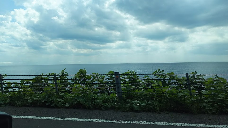 北海道旅行2日目午後_a0009809_21394020.jpg