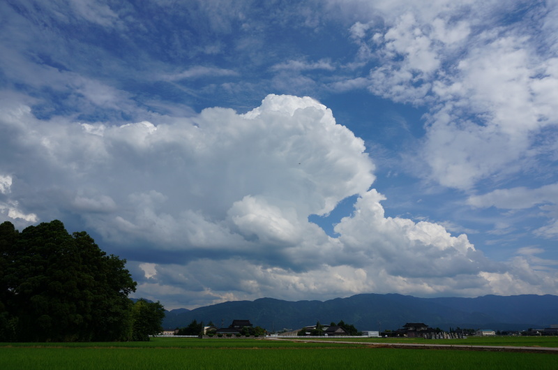 d0359010_20102198.jpg