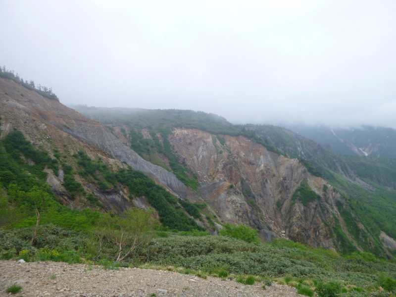 花の百名山　白山 (2,702.2M)  南竜ｹ馬場 編_d0170615_20582939.jpg