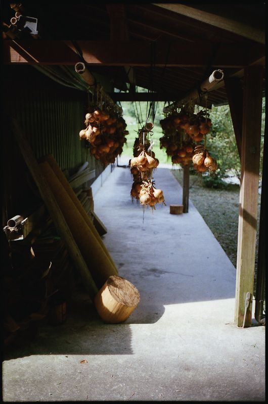 c0176622_18480169.jpg
