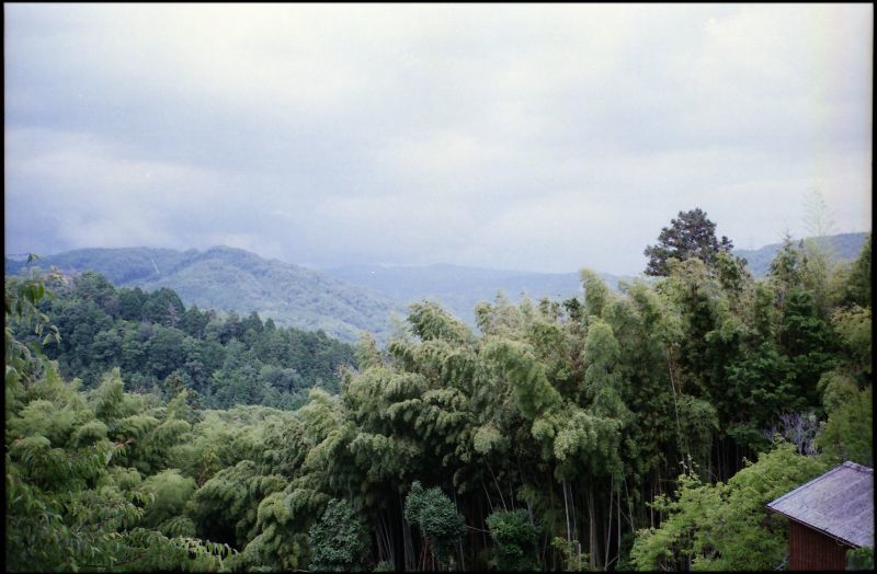 c0176622_18480356.jpg