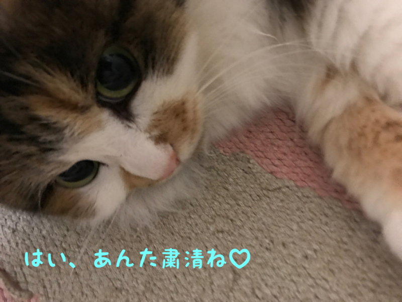 c0181639_20134343.jpg