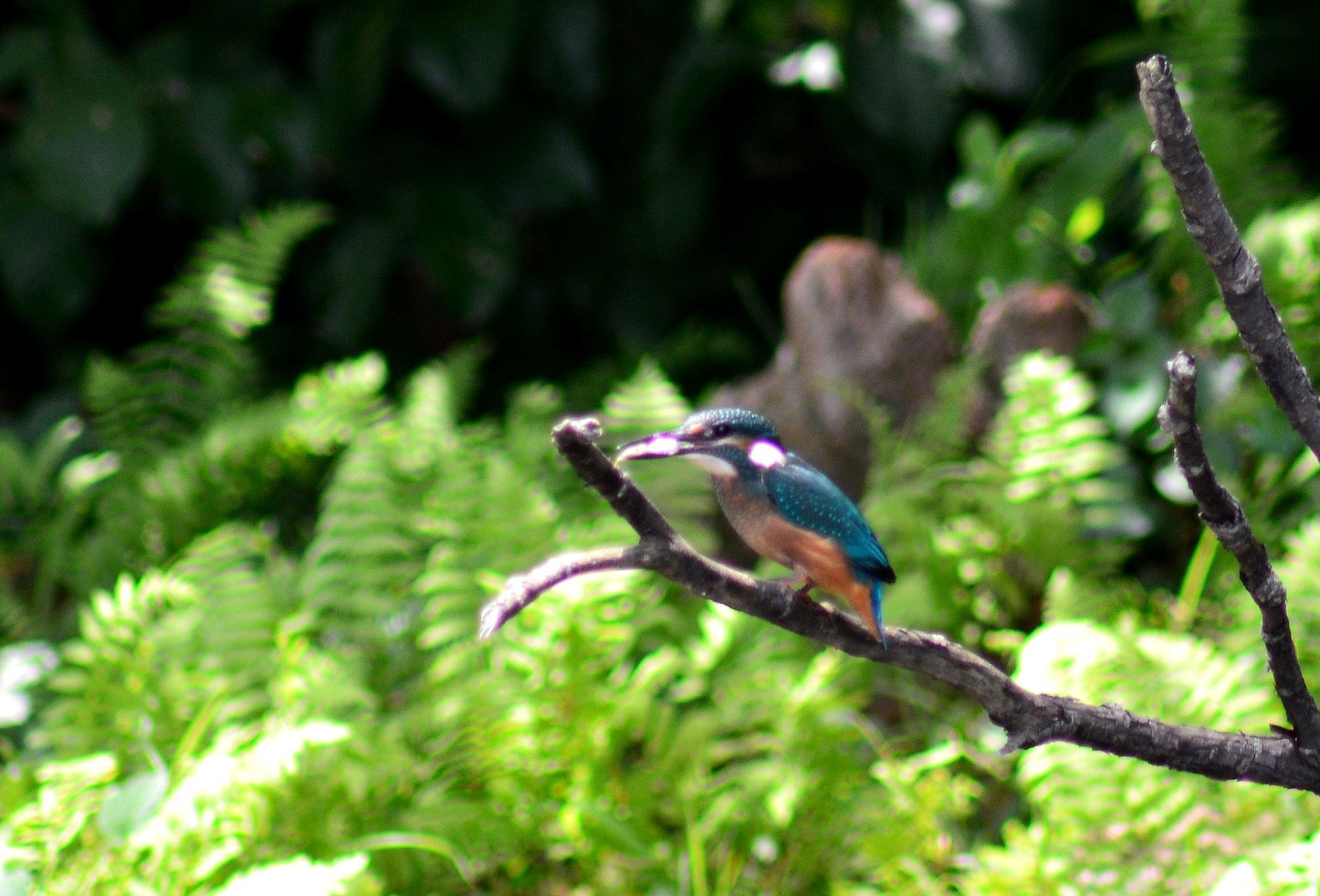 d0354344_16343888.jpg