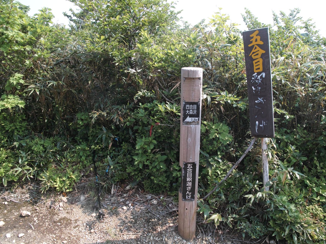 c0008948_10284128.jpg