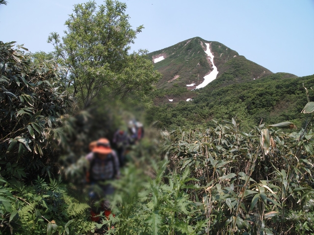 久恋の山（きゅうれんよりひさこいと読みたい）焼石岳へ：１_c0008948_131065.jpg