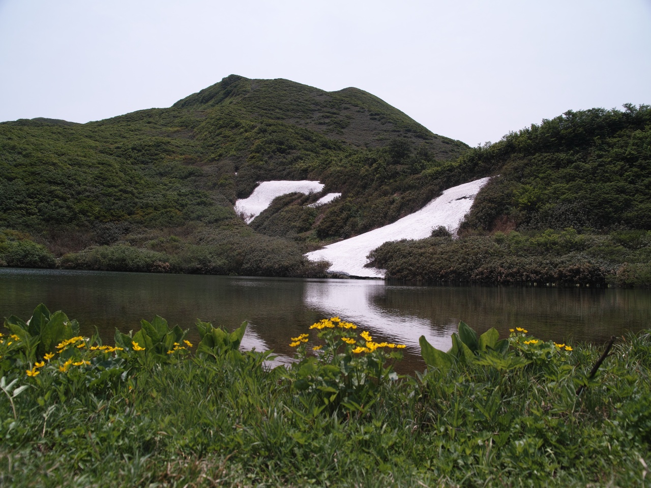 c0008948_13124055.jpg