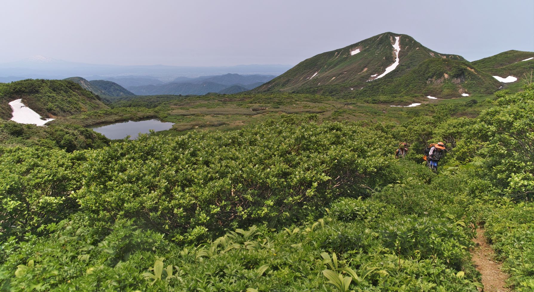 久恋の山（きゅうれんよりひさこいと読みたい）焼石岳へ：１_c0008948_13213249.jpg